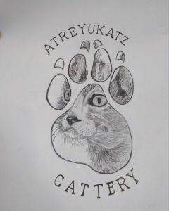 Atreyukatz Cattery drawing
