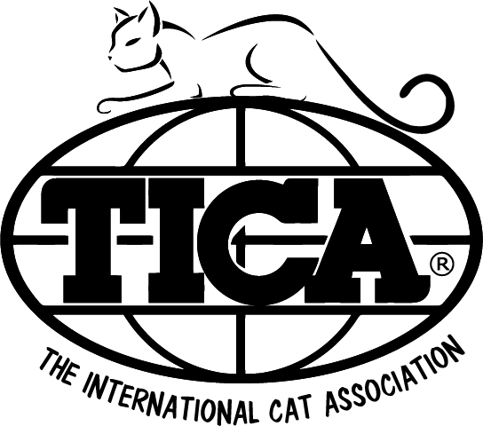 T.I.C.A logo